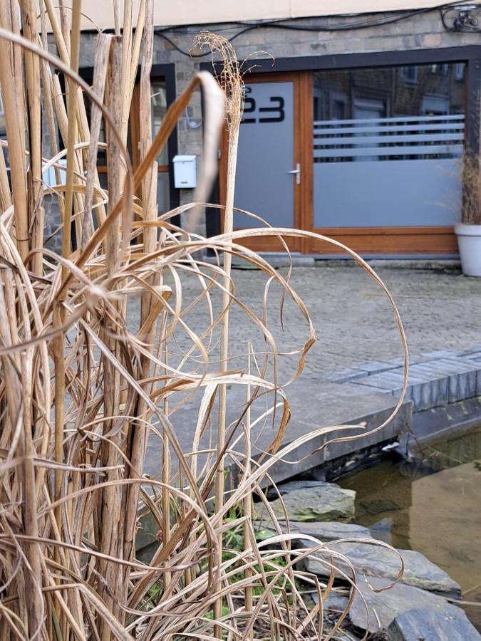 Le 23 - La Roche-En-Ardenne Apartment Екстериор снимка